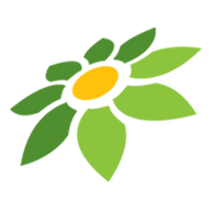 DLS2019 MOD APK